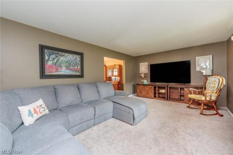 205 Woodland Drive Medina OH 44256