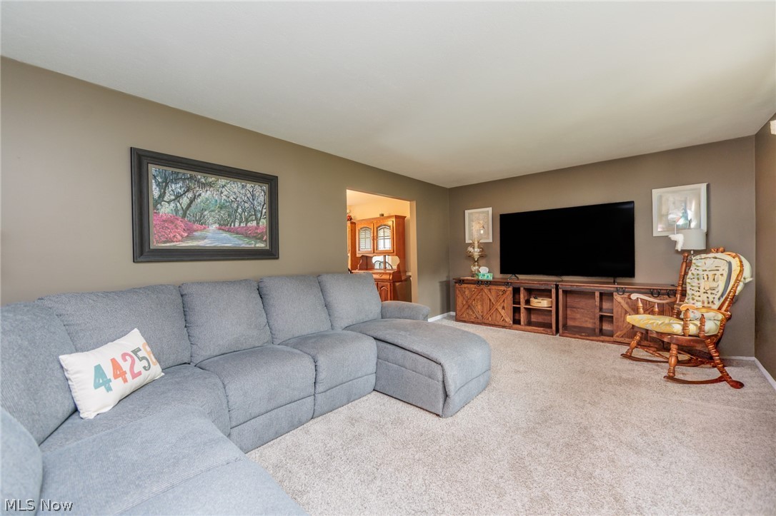 205 Woodland Drive Medina OH 44256