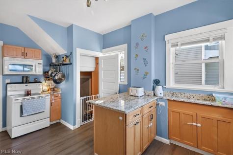 1528 Lauderdale Avenue Lakewood OH 44107