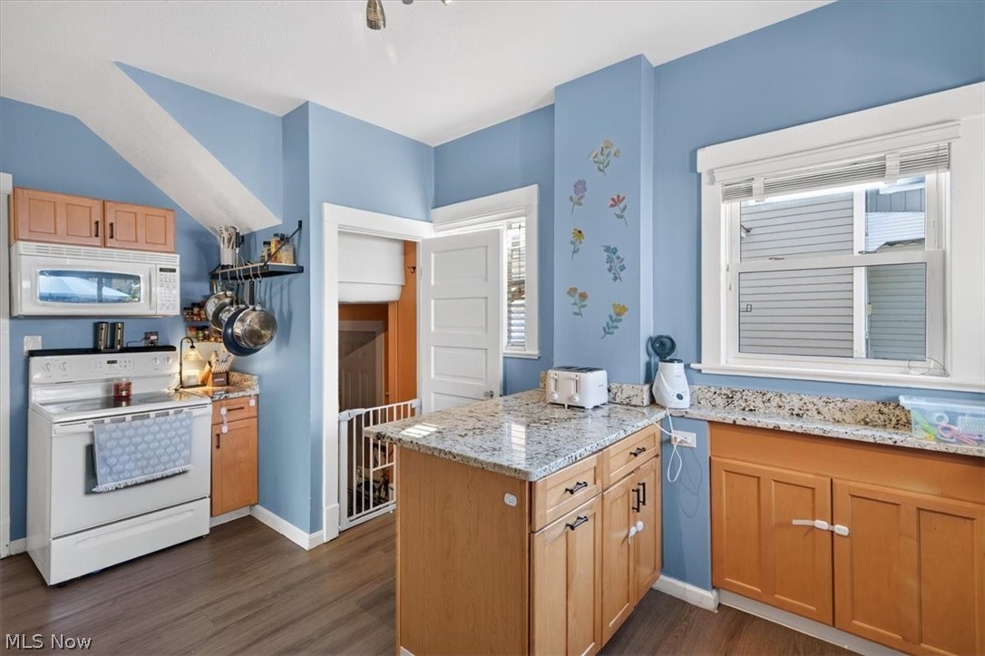 1528 Lauderdale Avenue Lakewood OH 44107