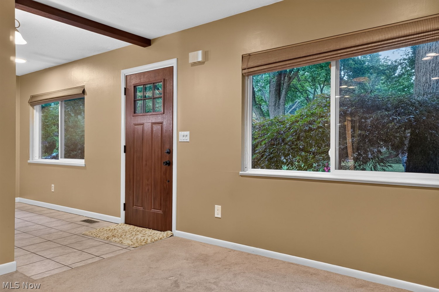 6189 Campbell Drive Madison OH 44057