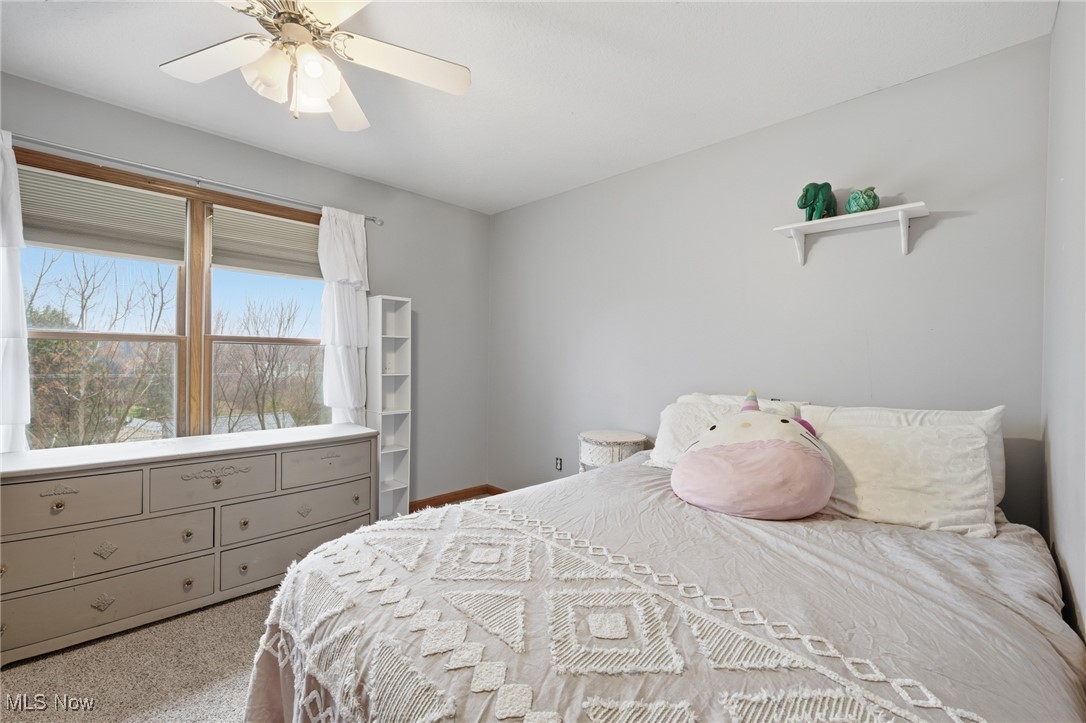 4212 Devonshire Court Akron OH 44321