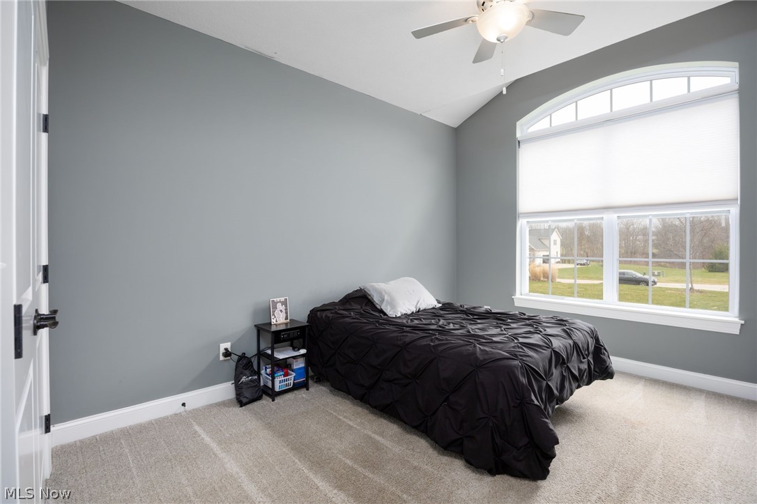 3984 Argyle Lane Medina OH 44256