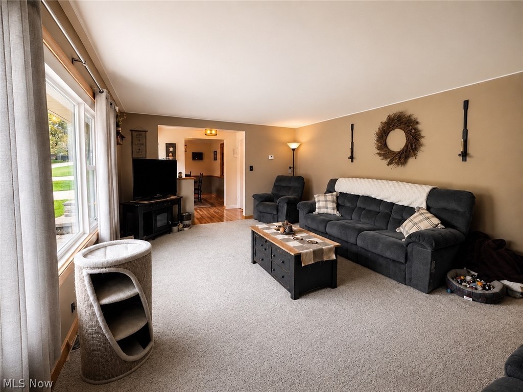 337 Bell Avenue Columbiana OH 44408