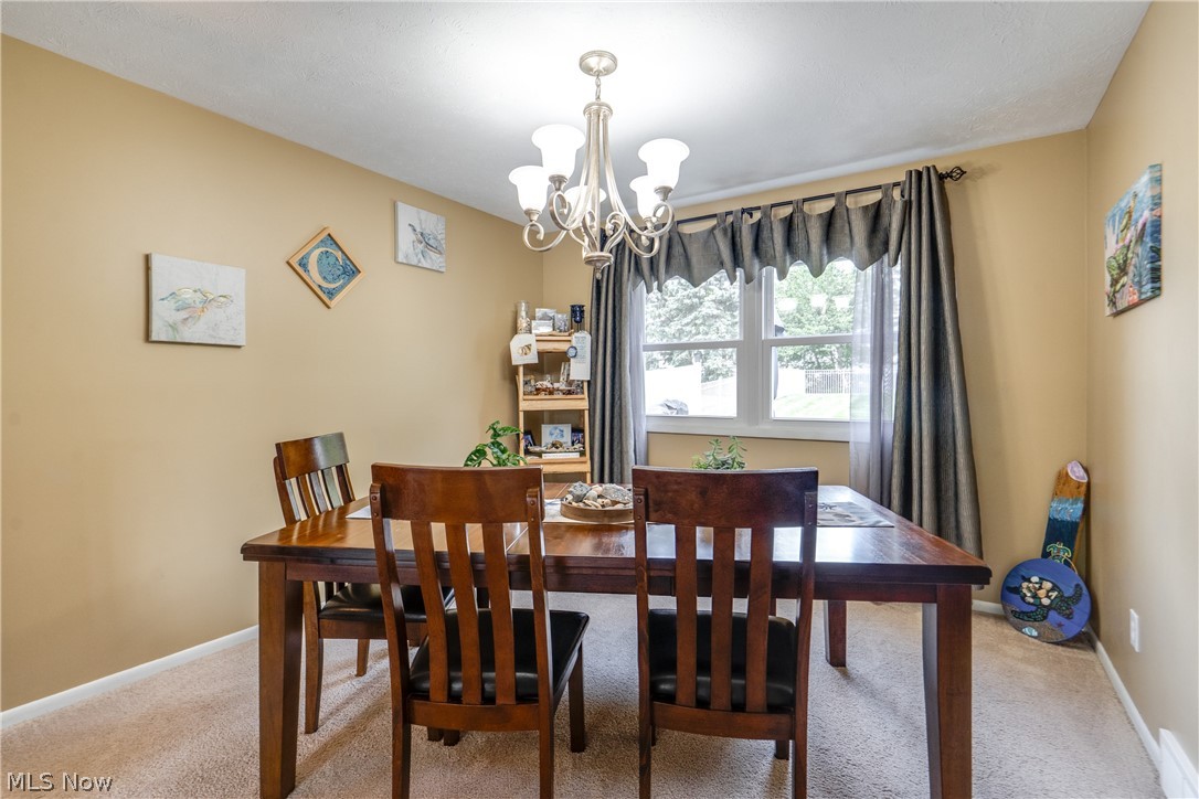 740 Thelma Drive Wadsworth OH 44281