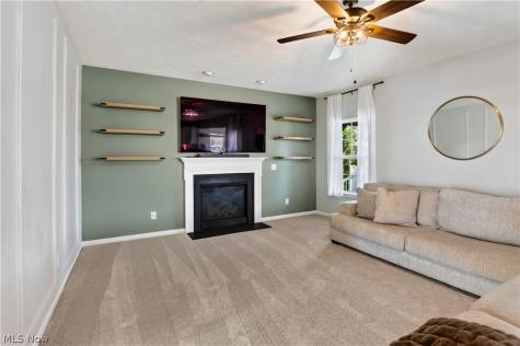 515 Mitchell Court Lagrange OH 44050