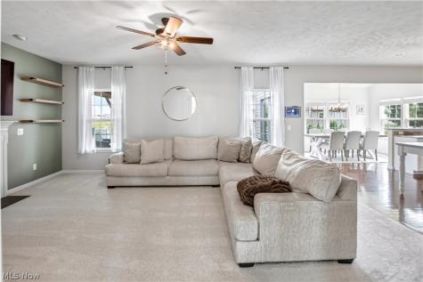 515 Mitchell Court Lagrange OH 44050