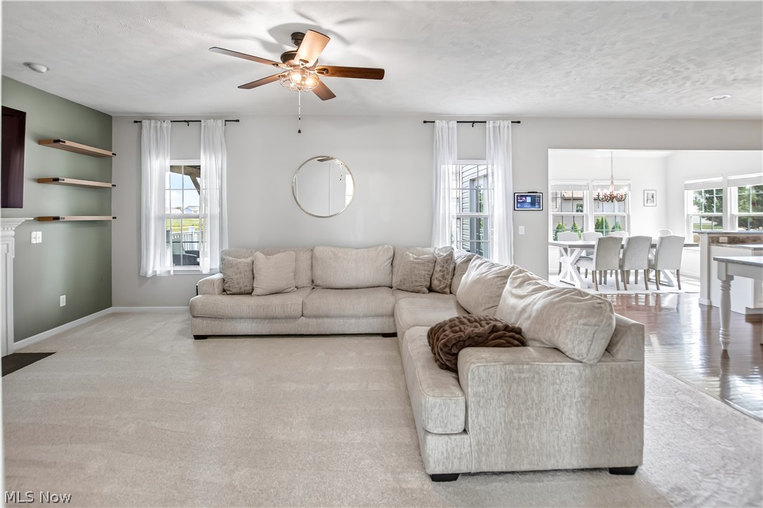 515 Mitchell Court Lagrange OH 44050