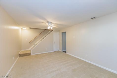 3888 Buckingham Brunswick OH 44212