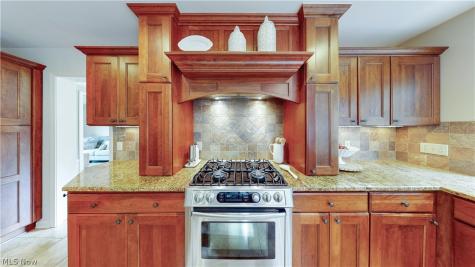 10385 Oviatt Lane Twinsburg OH 44087