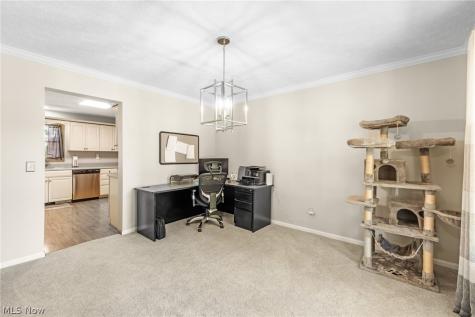 16097 N Laguardia Parkway Strongsville OH 44136