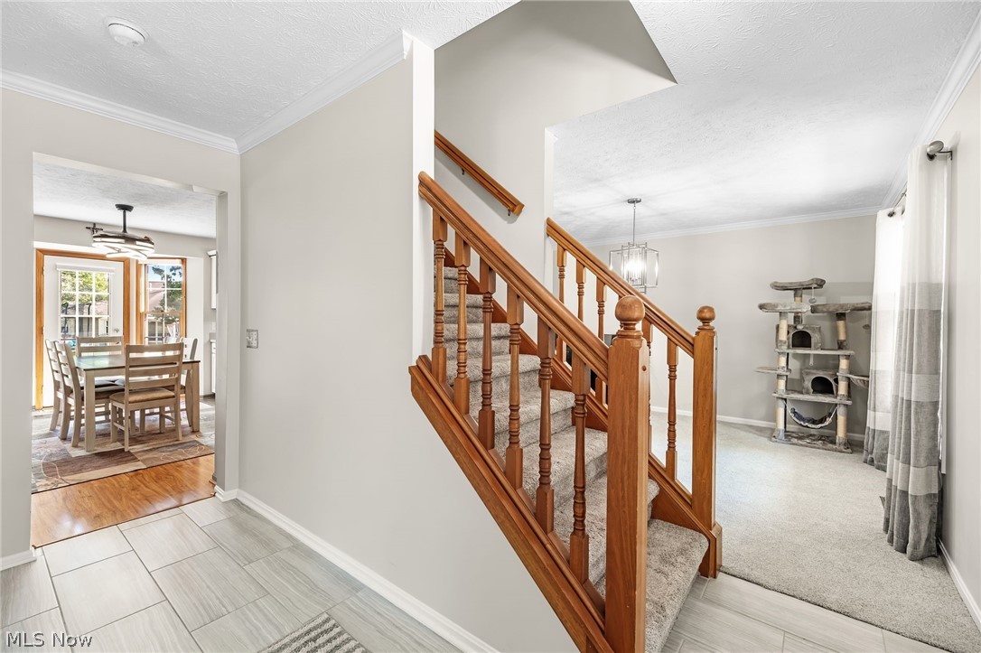 16097 N Laguardia Parkway Strongsville OH 44136