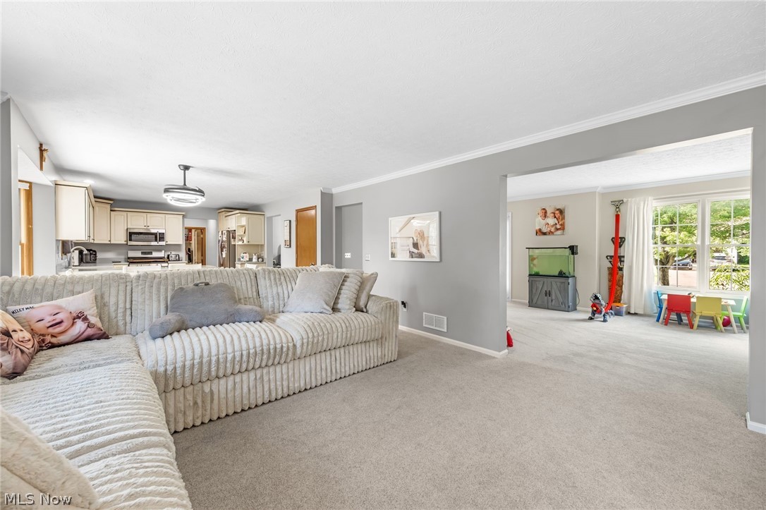 16097 N Laguardia Parkway Strongsville OH 44136