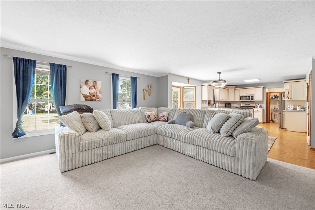 16097 N Laguardia Parkway Strongsville OH 44136