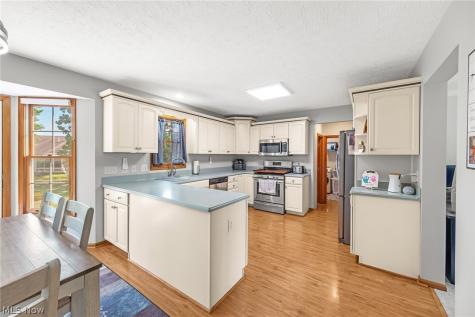 16097 N Laguardia Parkway Strongsville OH 44136