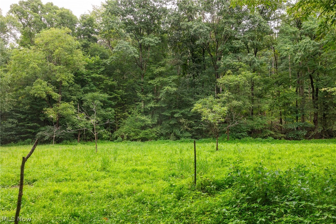 15931 Stocker Ridge Road Newcomerstown OH 43832