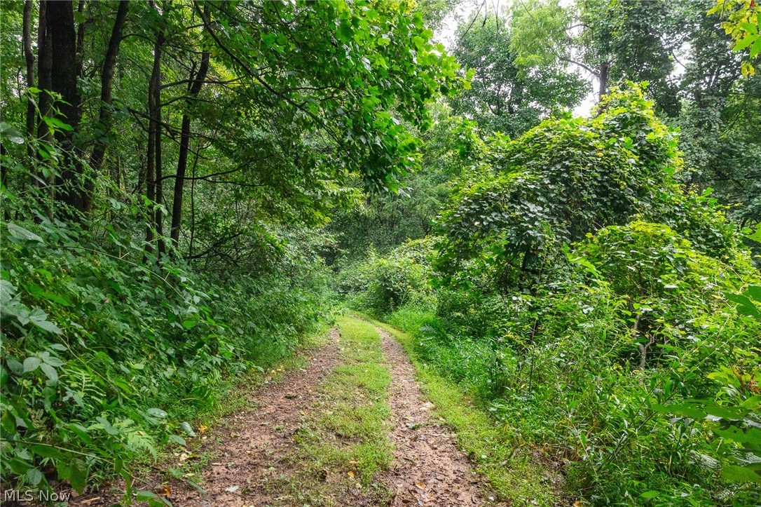 15931 Stocker Ridge Road Newcomerstown OH 43832