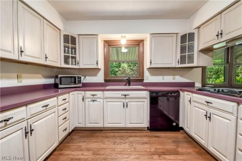 9412 Beaver Creek Drive Mentor OH 44060