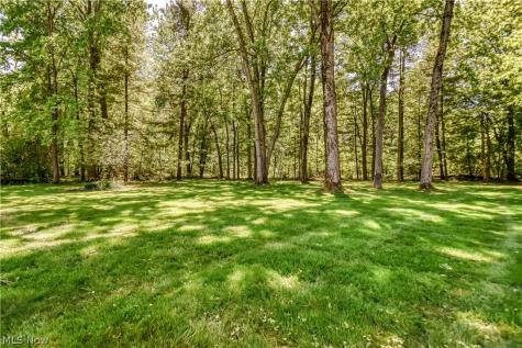 9412 Beaver Creek Drive Mentor OH 44060
