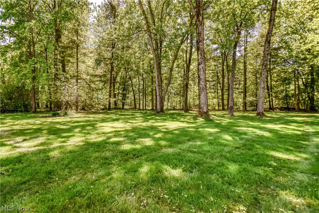 9412 Beaver Creek Drive Mentor OH 44060