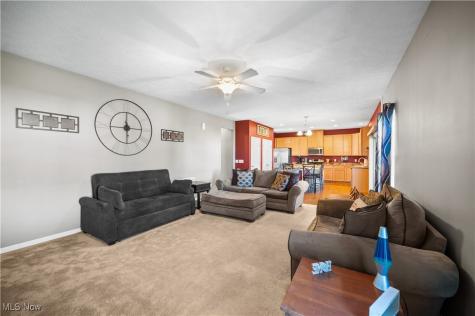 3113 Briarcliff Drive Brunswick OH 44212