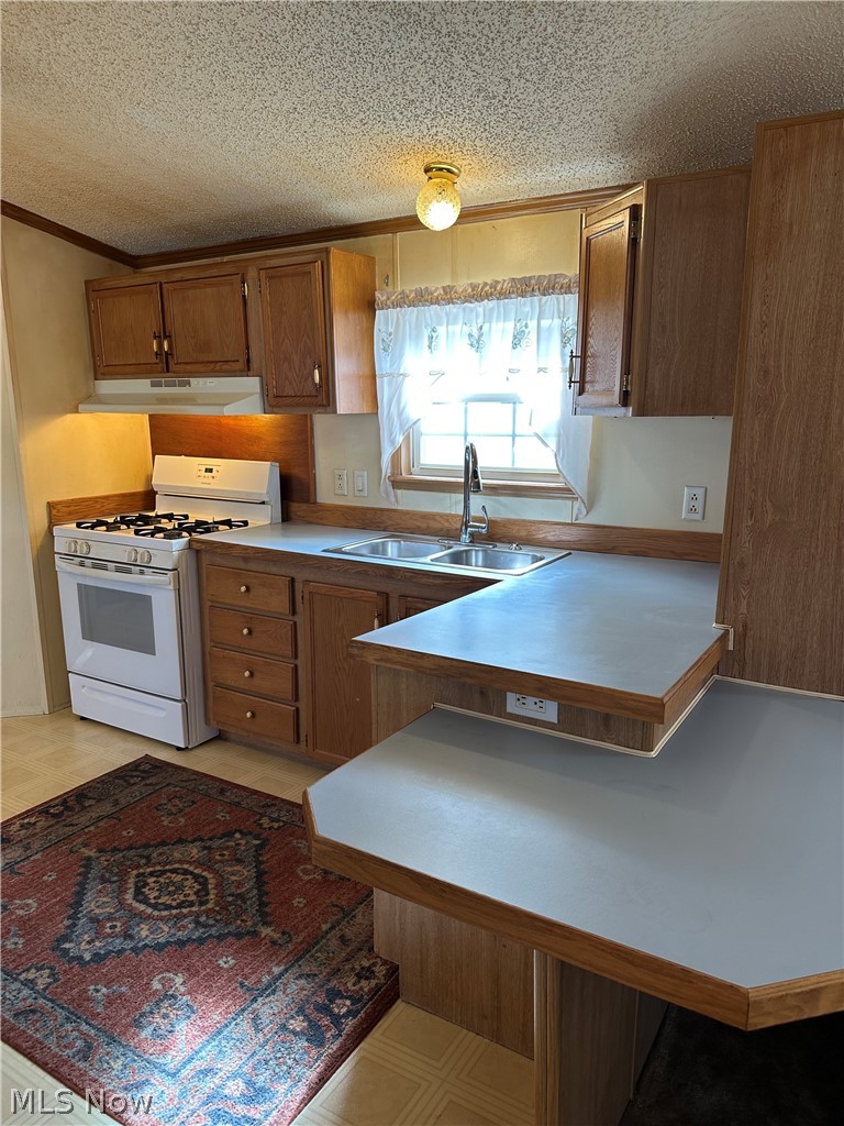 2655 Stoneyridge Drive Madison OH 44057