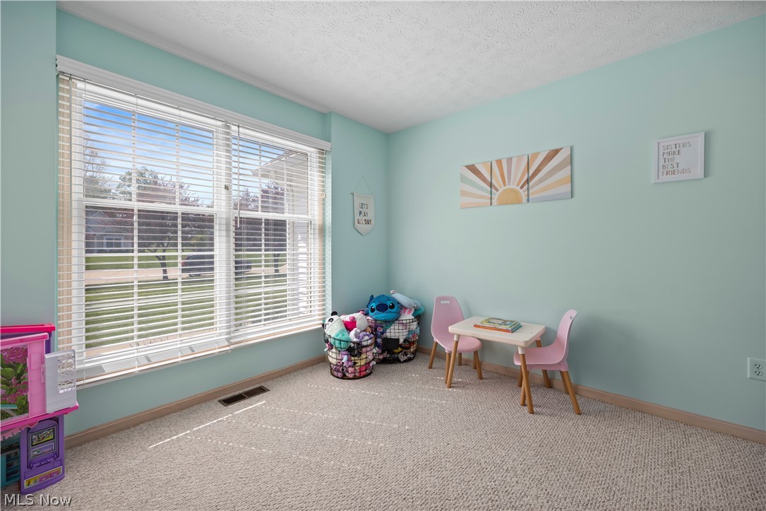 945 Red Tailed Lane Amherst OH 44001