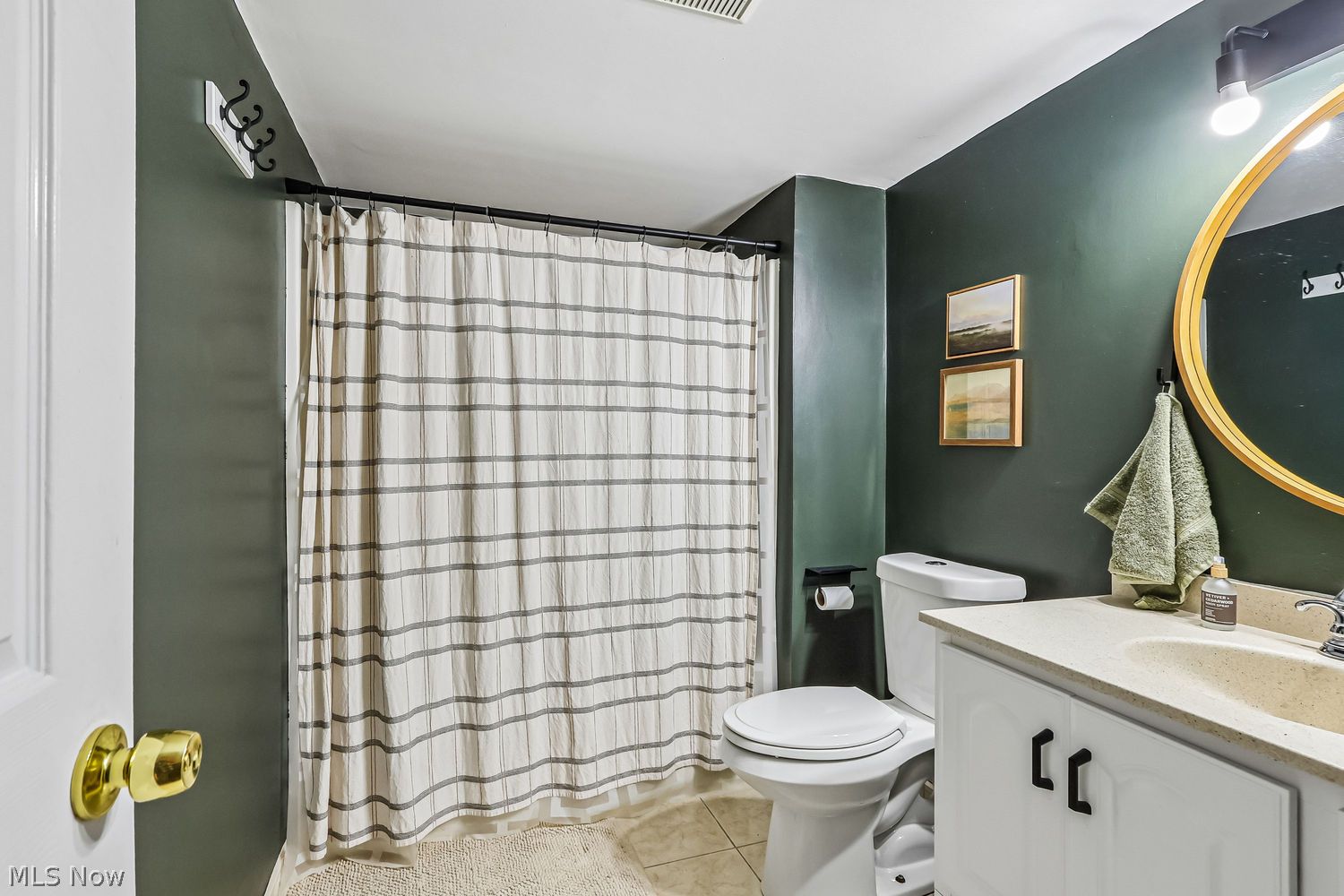 6045 Arlyne Lane Medina OH 44256