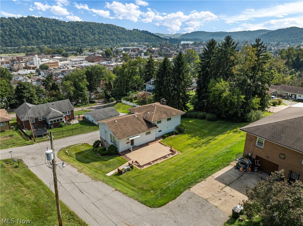 405 N 10th Street Martins Ferry OH 43935