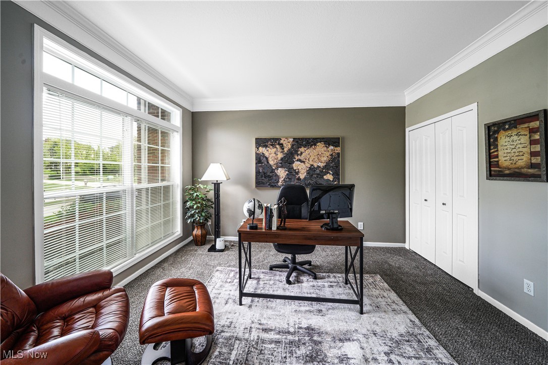 1005 W Parkway Boulevard Aurora OH 44202