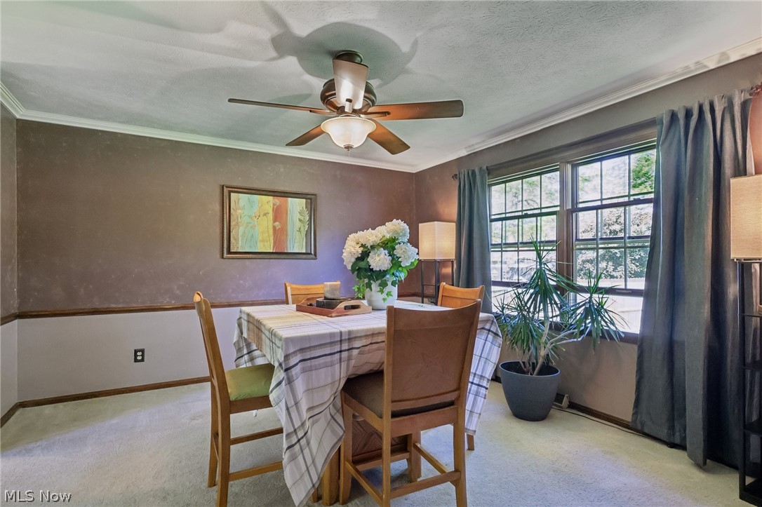3329 S Maple Lane Ashtabula OH 44004