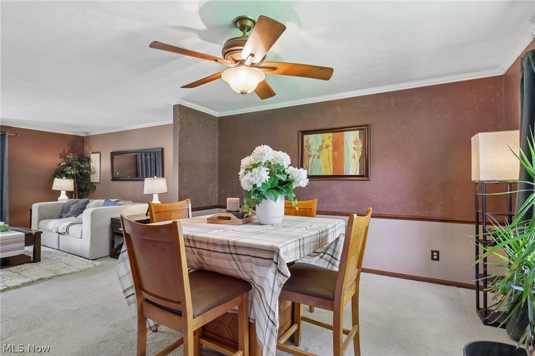 3329 S Maple Lane Ashtabula OH 44004