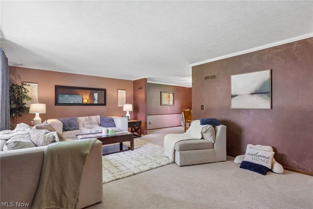 3329 S Maple Lane Ashtabula OH 44004
