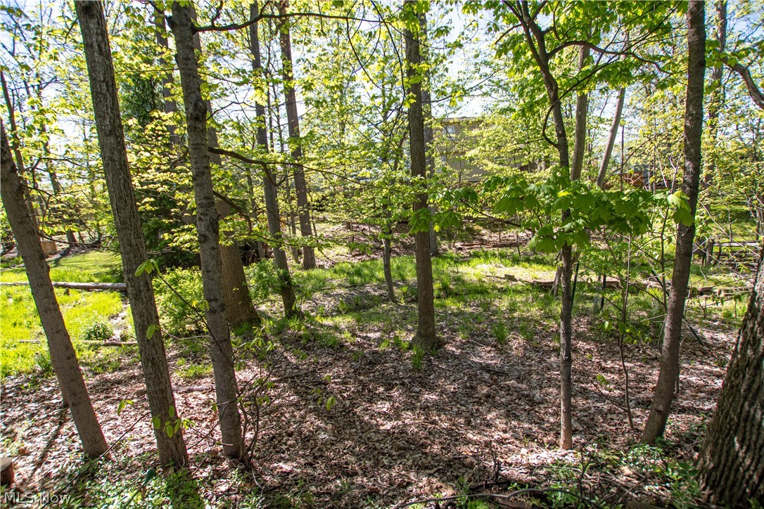 7704 Cecelia Drive Parma OH 44134