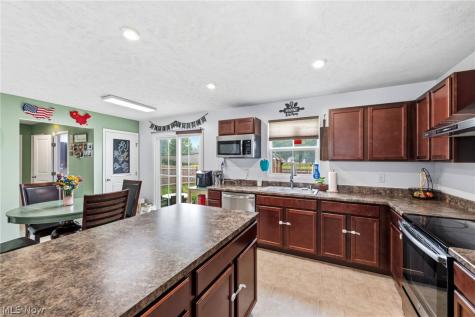 147 Springvale Drive Amherst OH 44001