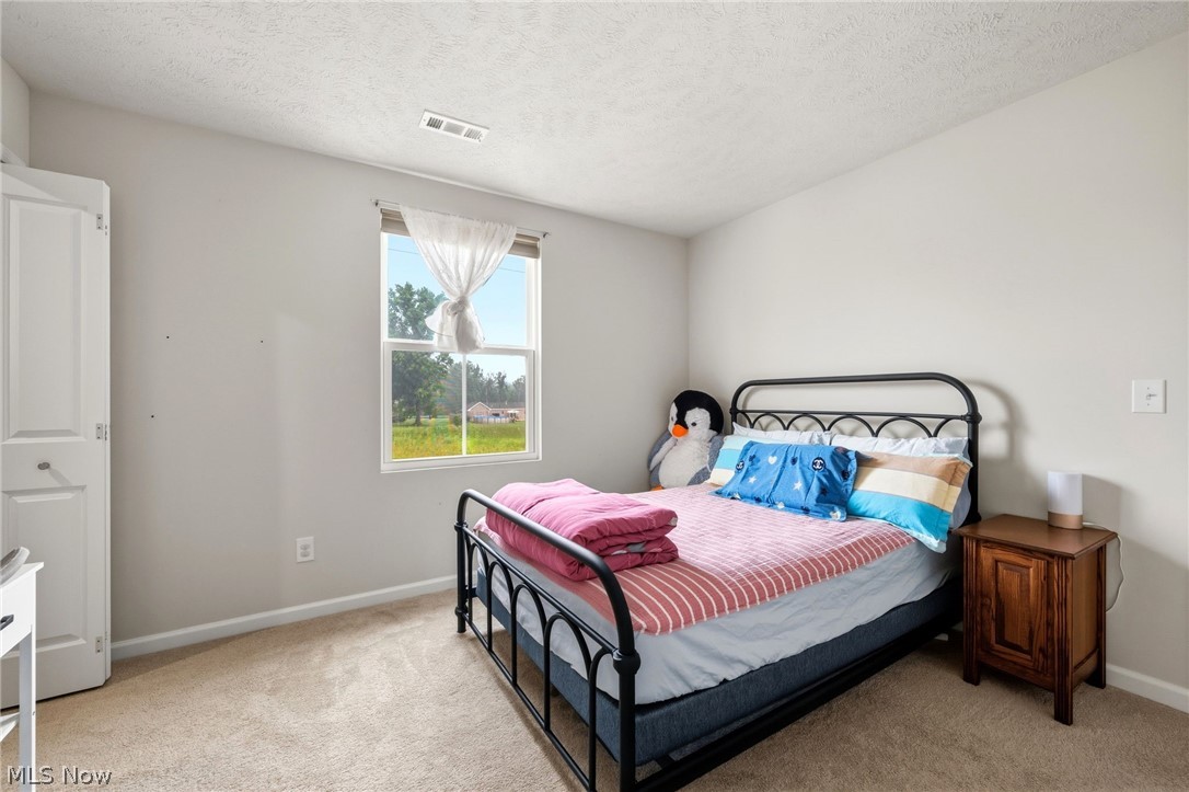 147 Springvale Drive Amherst OH 44001