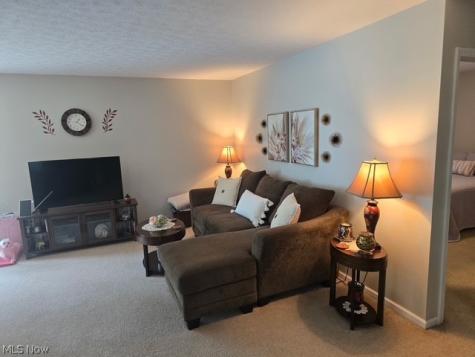 313 Breckenridge Oval Elyria OH 44035