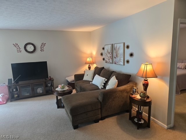 313 Breckenridge Oval Elyria OH 44035