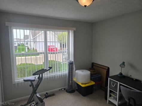 313 Breckenridge Oval Elyria OH 44035