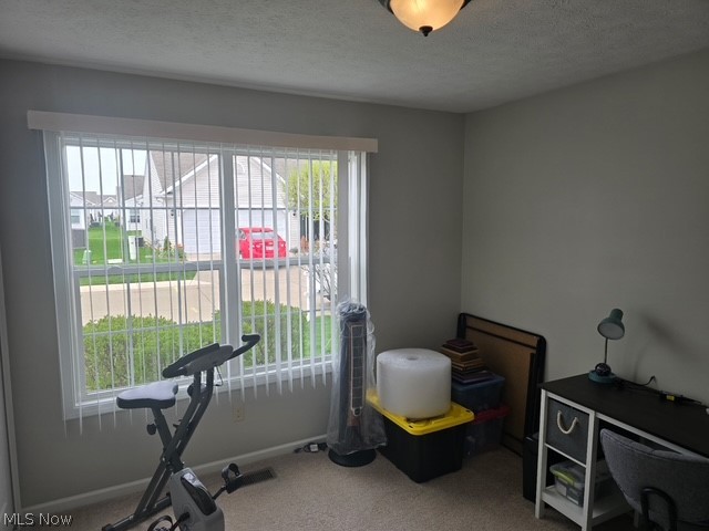 313 Breckenridge Oval Elyria OH 44035