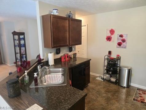 313 Breckenridge Oval Elyria OH 44035