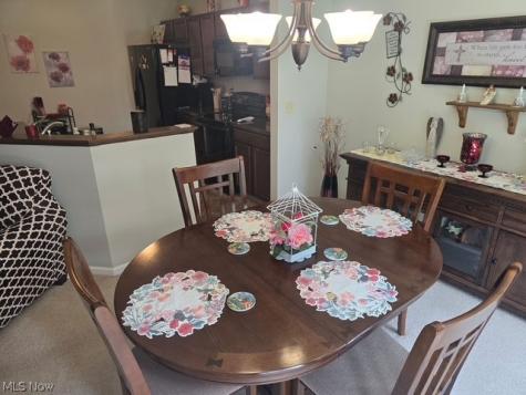313 Breckenridge Oval Elyria OH 44035