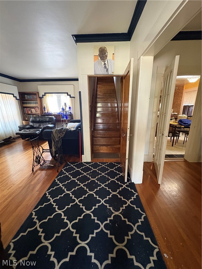 251 Alameda Avenue Youngstown OH 44504