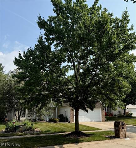 17806 Brandywine Drive Strongsville OH 44136
