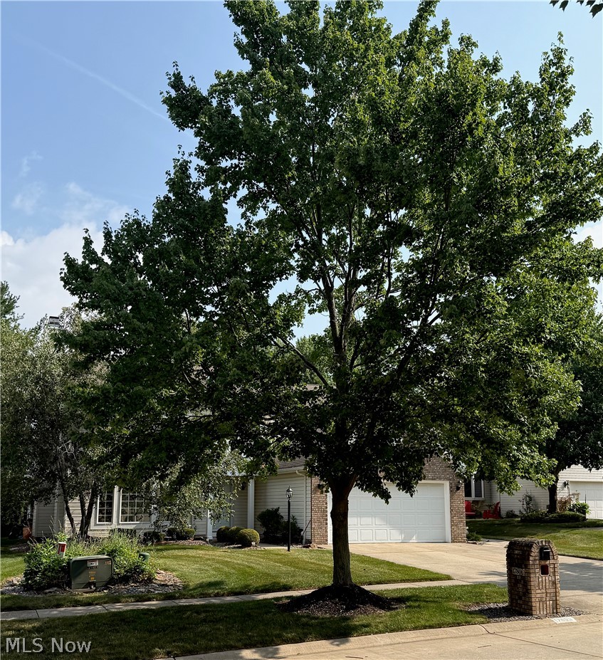 17806 Brandywine Drive Strongsville OH 44136