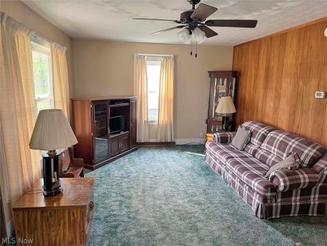 203 Bridge Street Minerva OH 44657