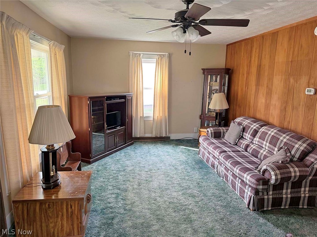 203 Bridge Street Minerva OH 44657