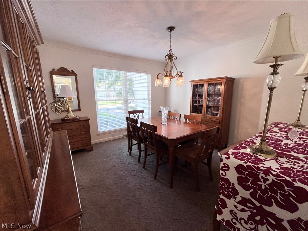 7632 Mary Lane Mentor OH 44060
