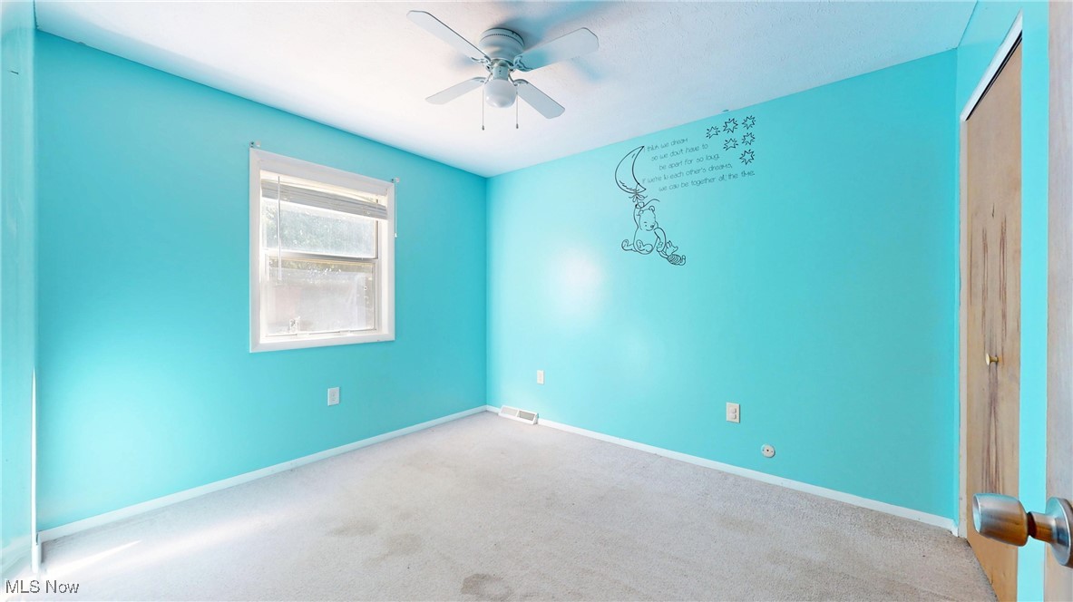 1357 Cayuga Avenue Akron OH 44312