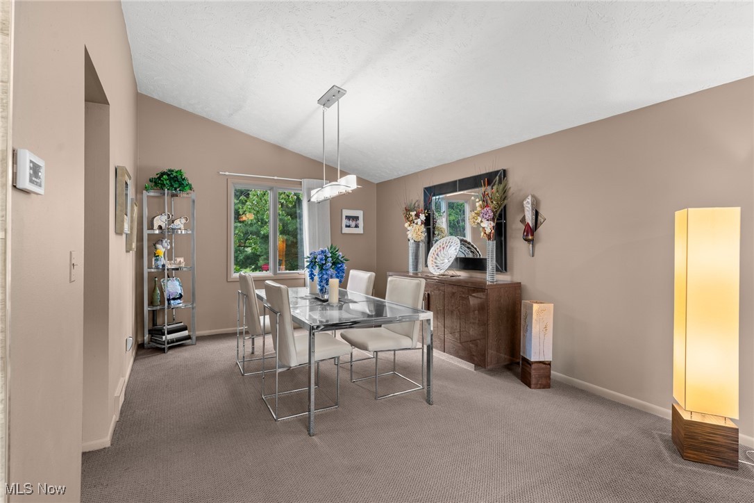 5130 Cheswick Drive Solon OH 44139